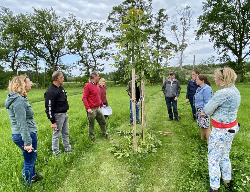 groep mensen staat rondom een net geplante boom